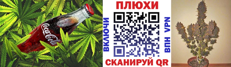 как найти наркотики  Юхнов  Еда ТГК конопля 